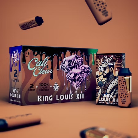 KING-LOUIS-XIII.jpeg